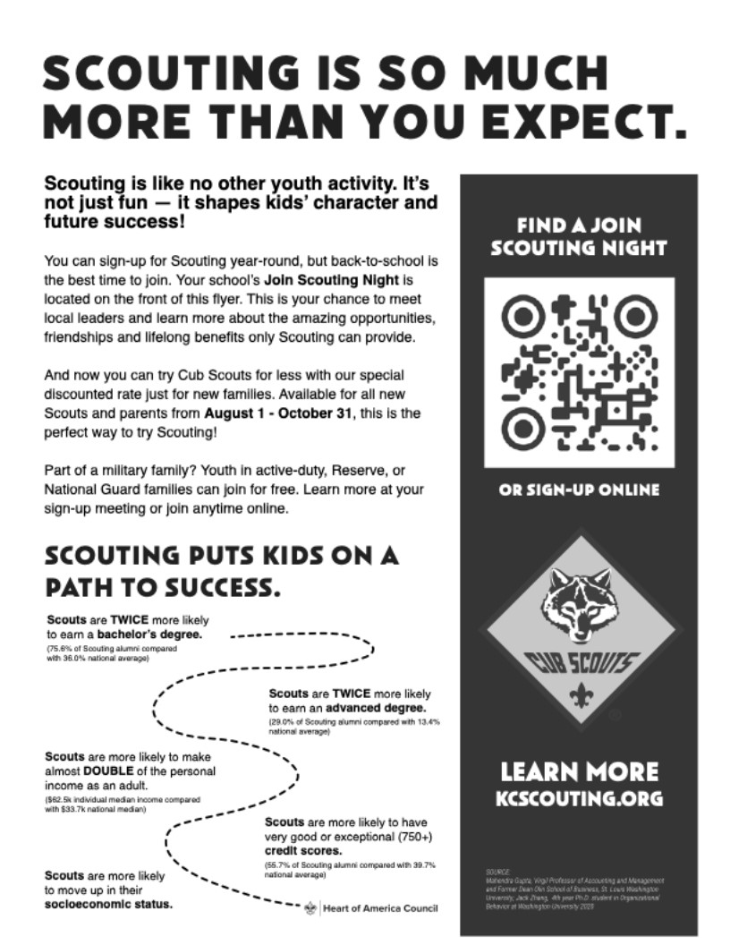 CUB SCOUT PG2