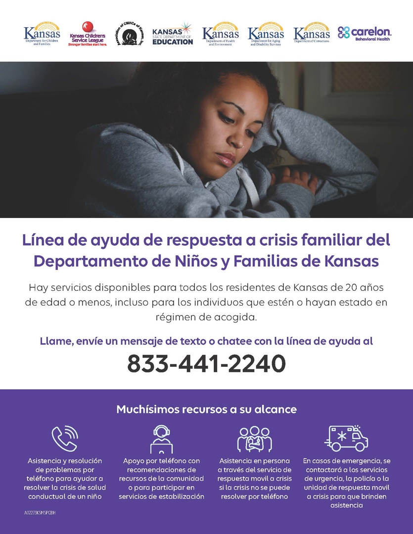 DCF Family Crisis Response Flier