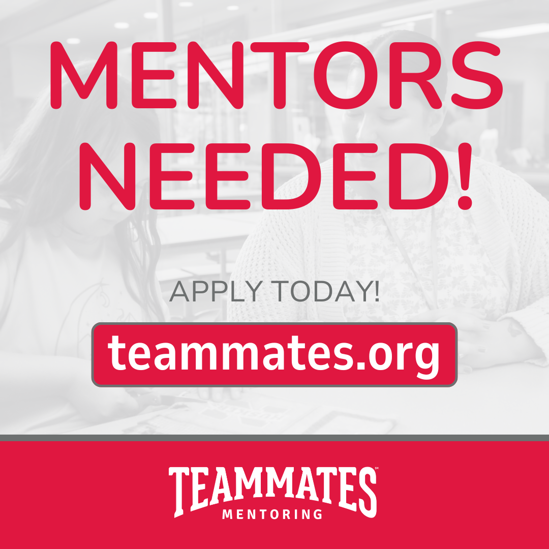 TEAMMATES Mentors Wanted Flier